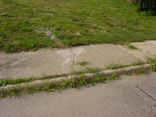 ./Gallery/2011 Bennet Lot Tree Removal/DSC06439.JPG